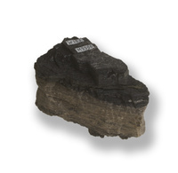 M 02298
<br/>
<br/>
<em></em>